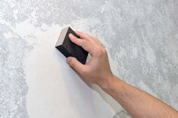 Best Emergency Mold Remediation  in Hazen, AR