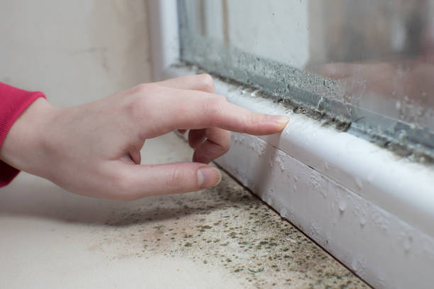 Best Air Quality Testing for Mold Spores  in Hazen, AR